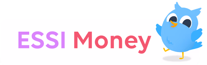 ESSI Money banner with ESSI Money cartoon bird mascot (hOwl) on the right.